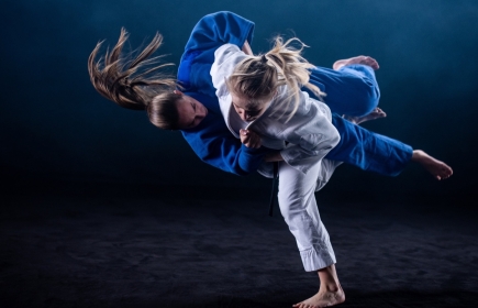 Exige des qualités similaires à celles requises pour être membre d'Inter Wheel : le judo (photo : iStock)